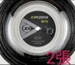 ダンロップ エクスプロッシブバイト2張です。