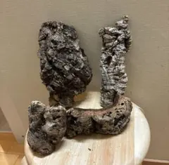 2025年最新】バージンコルクの人気アイテム - メルカリ