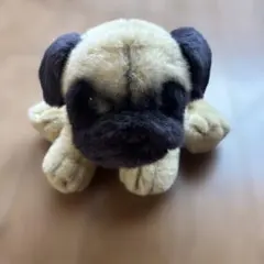 リアルドッグコレクション　 ぬいぐるみ パグ REGALO レガロ