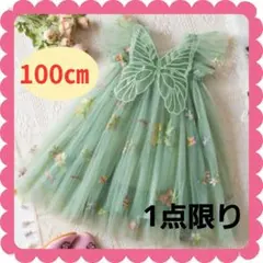 限定大特価！ティンカーベル風ドレス 結婚式 記念撮影　写真　コスプレ 100