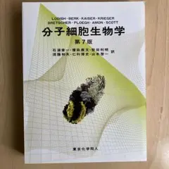 2025年最新】分子細胞生物学 第9版の人気アイテム - メルカリ