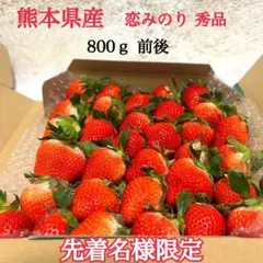 残り3名様 タイムセール中!!!熊本県産 恋みのり 秀品 減農薬 800㌘ 箱込