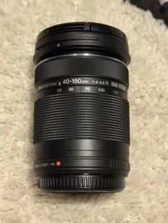 Item thumbnail for item 1f2bdcf1-be0d-41dd-98f2-49e3072dbcf7