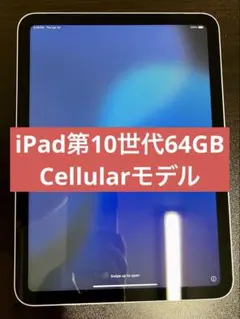 【超美品】iPad 第10世代 64GB Cellular モデル 本体のみ