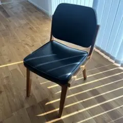 ACME Furniture SIERRA CHAIR シエラチェア　①