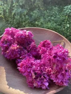 2026年最新】ブーゲンビリアの人気アイテム - メルカリ