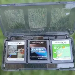 【動作確認済】ポケモン ダイパ他 DSソフト2本 ケース付き