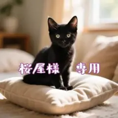 ❀桜屋様 専用　copenサンバイザーカバー❀