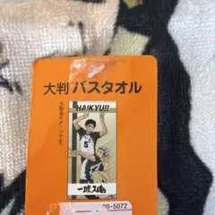 ⭐︎新品⭐︎ハイキュー　大判バスタオル