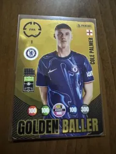 コールパーマー　PANINI