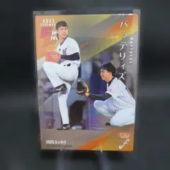 2025 BBM fusion バッテリィズ パラレル