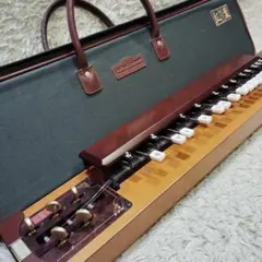 2025年最新】大正琴紅葉の人気アイテム - メルカリ