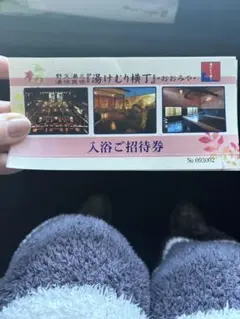 Item thumbnail for item 82891b6f-e20d-4446-bda1-23eacb9f50d3