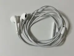 Apple EarPods Lightning ライトニング端子