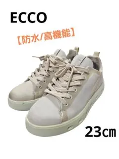 Item thumbnail for item 665dc8c7-8a84-4b99-89f5-700bd20dbd08