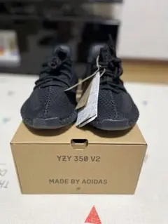 新品未使用adidas YEEZY Boost 350 V2 Onyx
