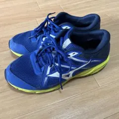 Item thumbnail for item 9c75c14d-7fc5-4f1d-8993-2f67f7680cdf