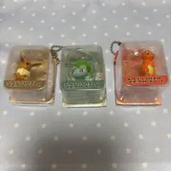 ポケプラブリスターマスコットチャーム 3種セット