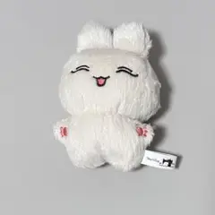 SEVENTEEN ジョシュア 20cm 人形 ジョシュア ぬいぐるみ 20cm 新品 マスター セブチ seventeen