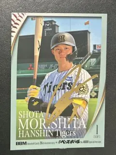 Item thumbnail for item ca91536f-35b5-45ef-8d12-bffb6a73de0b