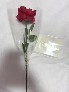 Item thumbnail for item 4d09f314-1922-4a53-a415-f9c32e635b00