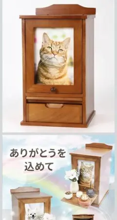 Item thumbnail for item 105547dc-fa03-4da8-a808-023cd4de77a8