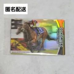 ブレイディヴェーグ　競馬　サラブレッドホースコレクション　第3R