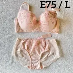 トリンプ ブラジャー　チャーミングラマー スリムライン＆ショーツ　E75 / L