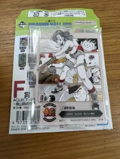 アクレクト　ブルマ