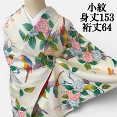 小紋　クリーム色に花鳥　身丈153 裄丈64 正絹　カジュアル着物　k1284