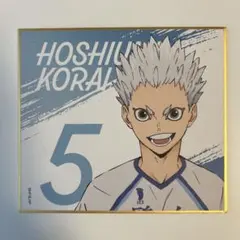 Item thumbnail for item e36d8e3c-7604-4ebb-b4e3-ef9d5b7106dc