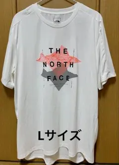 Item thumbnail for item 82815ce0-c8fd-46de-9e01-62e53e4d6def