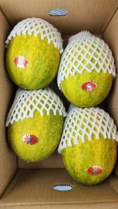 産地直送！甘いパパイヤメロン❗️肉厚で甘くて美味しい❗️6玉入り！箱込み5キロ 産地直送！甘いパパイヤメロン❗️肉厚で甘くて美味しい❗️6玉入り