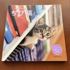 ちび猫 マイウェイムック
