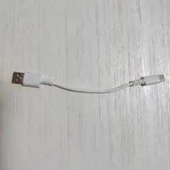 USB to USB-C 約18cm ケーブル ホワイト