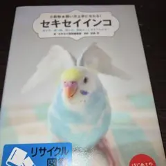 セキセイインコ 育て方、食べ物、接し方、病気のことがすぐわかる!