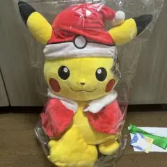 韓国 ポケモン ぬいぐるみ エモンガ パチリスのデスククッション 2個