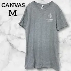 レア✨CANVAS【M】　キャンバス　グレー Tシャツ クルーネック　半袖　夏服