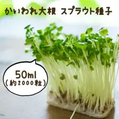 めめめ様 リクエスト 2点 まとめ商品