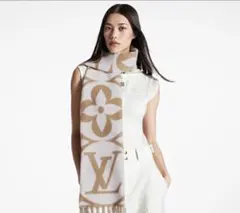 LOUIS VUITTON マフラー