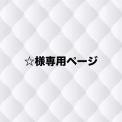 ☆様専用ページ