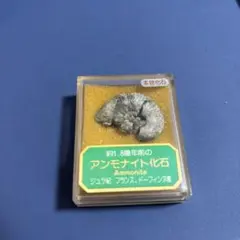 海外旅行土産 ドイツ ベルリンの壁 歴史的価値 破片 本物証明書付き