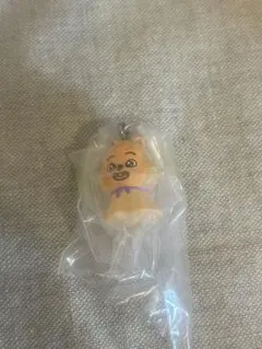 Stray Kids SKZOO めじるしアクセサリー　ハン　ハンクオッカ