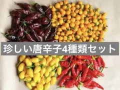 珍しい唐辛子　ナガブラック　アヒレモン　フルーティーボルケーノのサムネイル