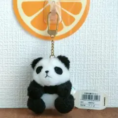 Item thumbnail for item 45b5c19e-3c8e-4caf-a27b-4fc73c05a171