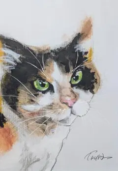 猫 原画 絵画 イラスト ドローイング ペット ねこ ネコ ハロウィン
