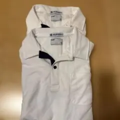 Item thumbnail for item 700a3631-22a1-45c5-b357-6d44889d3044