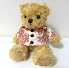 Item thumbnail for item 75d8f84a-29ef-4994-8804-0cc3963cd111