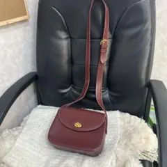 Item thumbnail for item 8c2552c0-1615-48ab-b69f-4614e5e28290