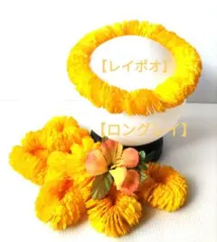 イリマレイポウ&ロングレイセット